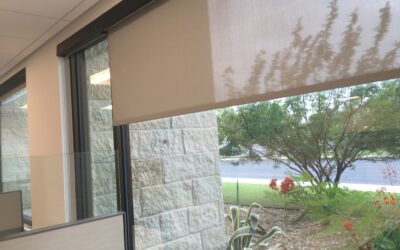 Right Commercial Shades for Your Business