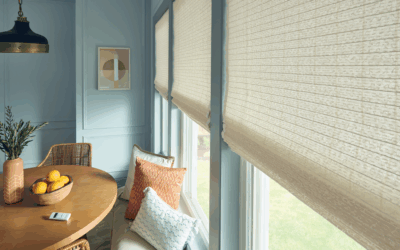 Transforming Greenville Workspaces with Natural Shades