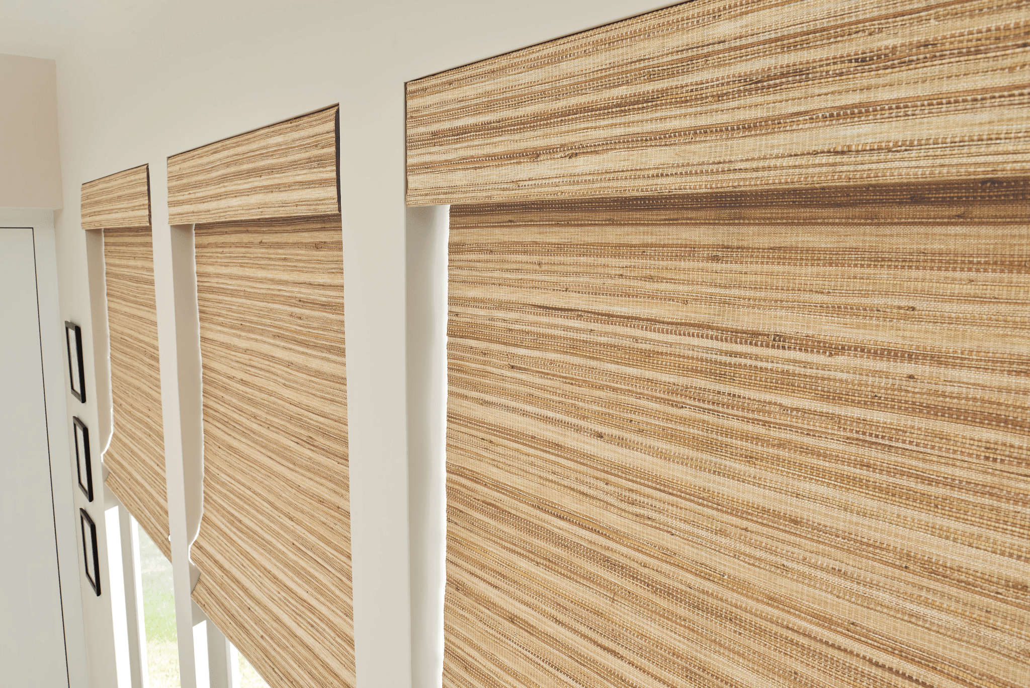 horizons natural shades khorasan wheat rs23 v3