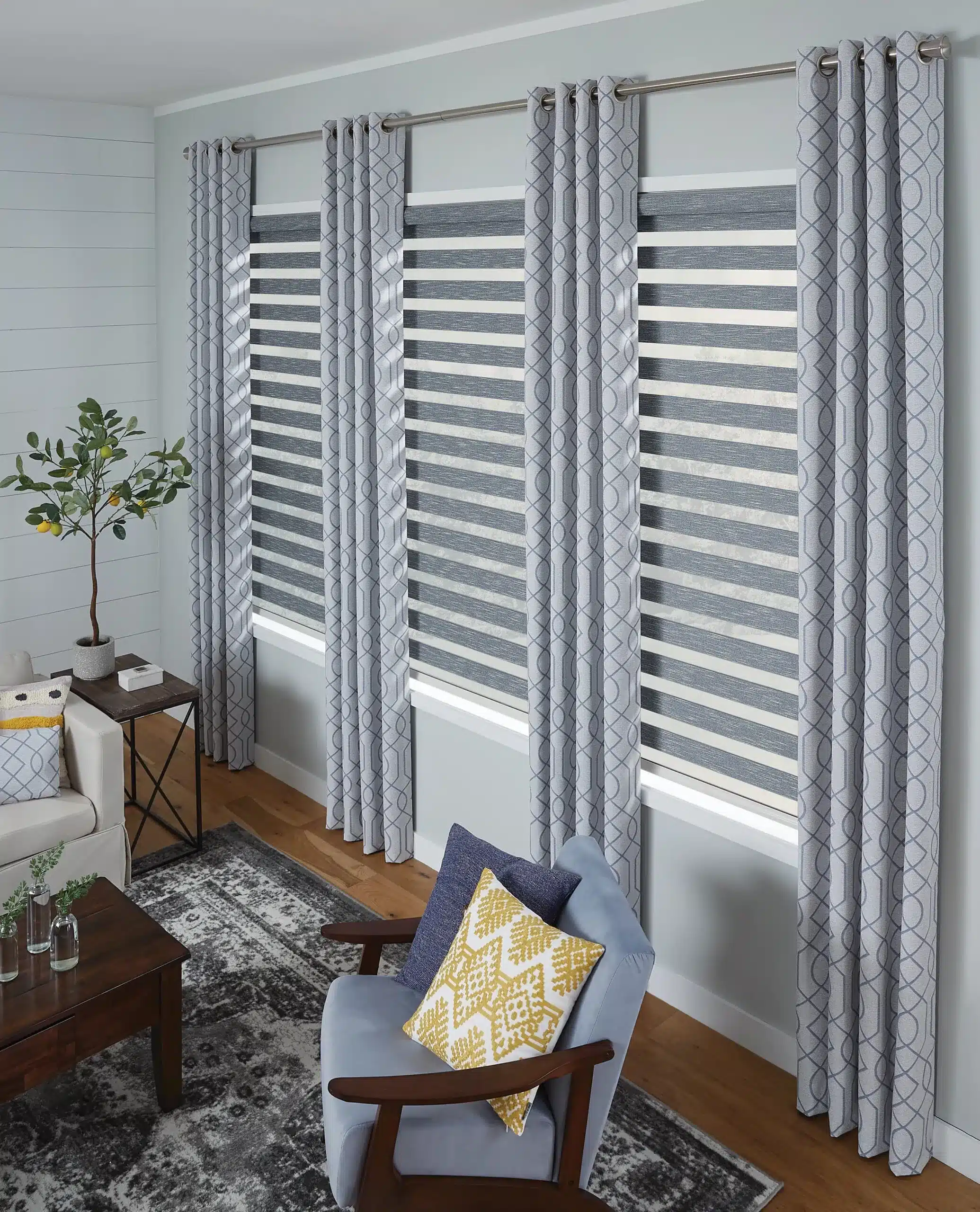 Blue Zebra Shades scaled